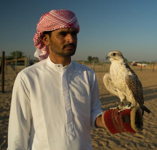 dubai uae dirham falcon 23 March 2023