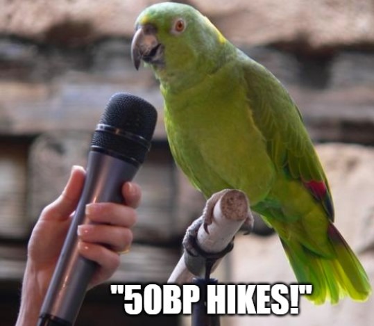 fed parrot