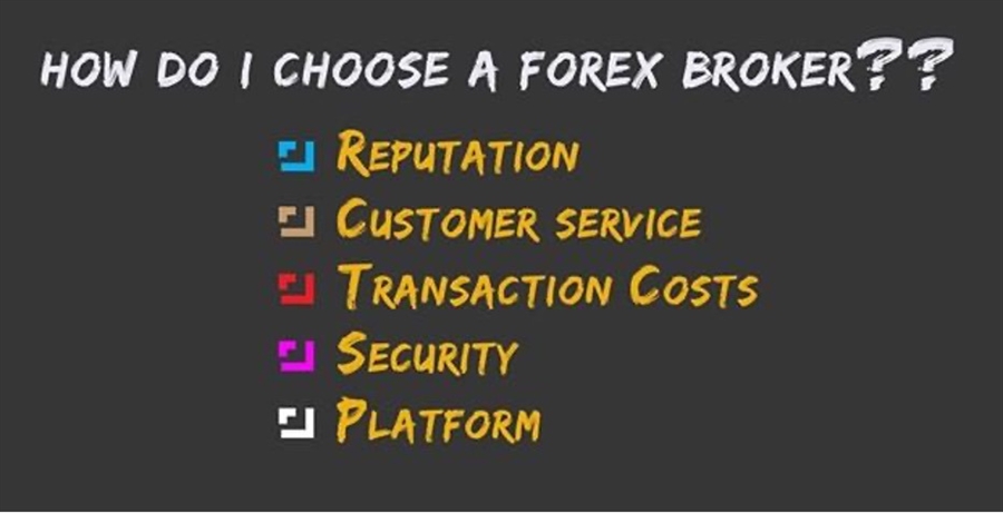 forex broker