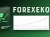 forexeko