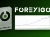 fxgo