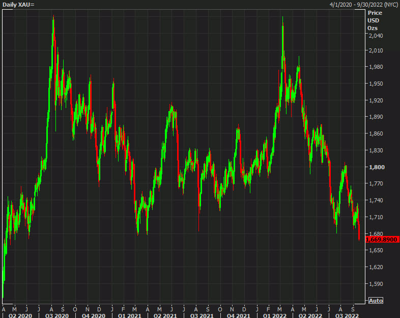 gold daily