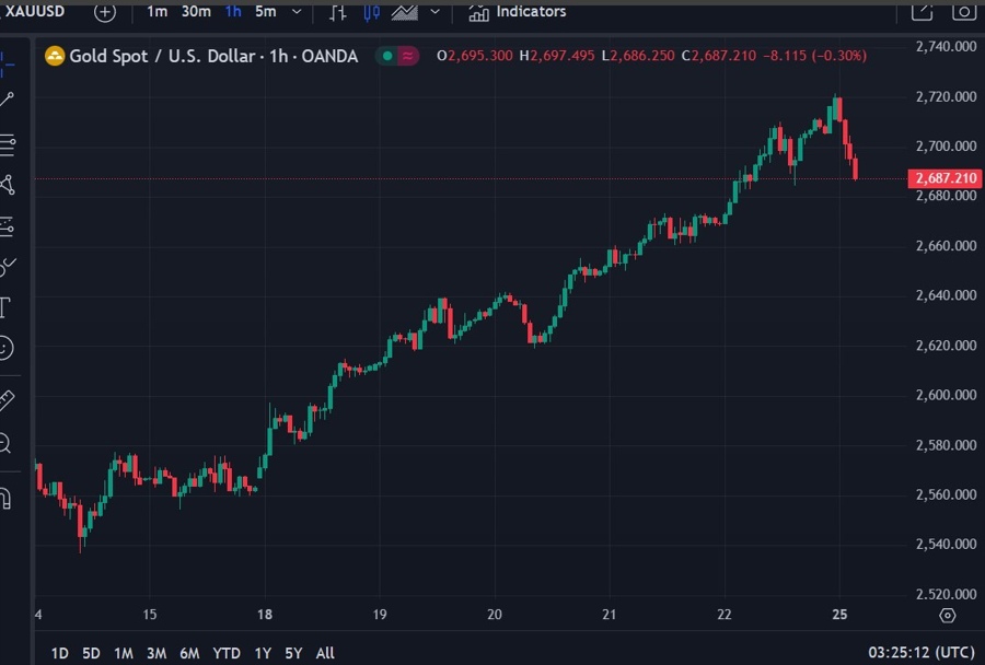gold lower ubs 25 November 2024 2