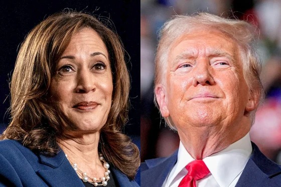 harris trump 2