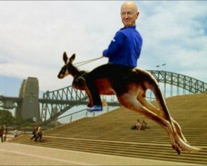 kangaroo