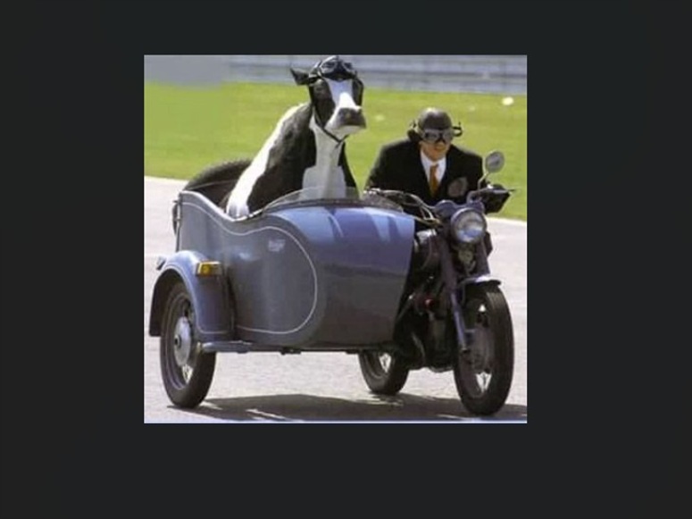 kospie sidecar 05 November 2025 2