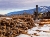 lumber