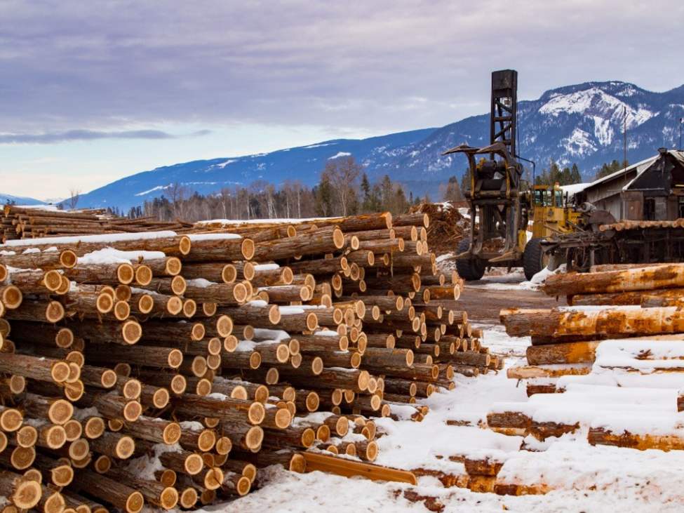 Canada's Carney: Canada will provide up to 700M in loan guarantees to softwood lumber | investingLive