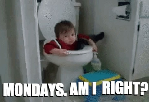 monday 2