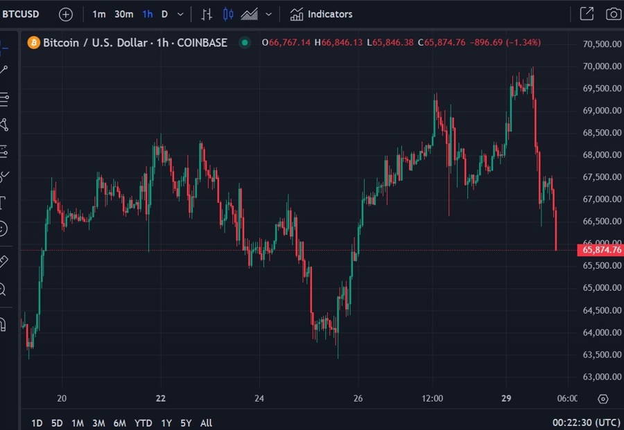 musk Bitcoin dogecoin 30 July 2024 2