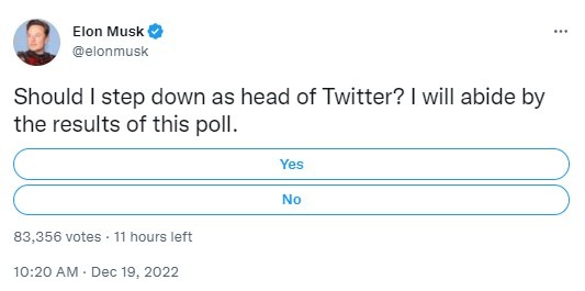 musk twitter poll
