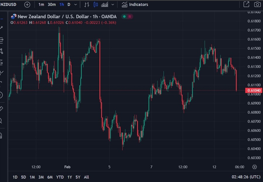 nzd inflation expectaions rbnz 13 February 2024 2