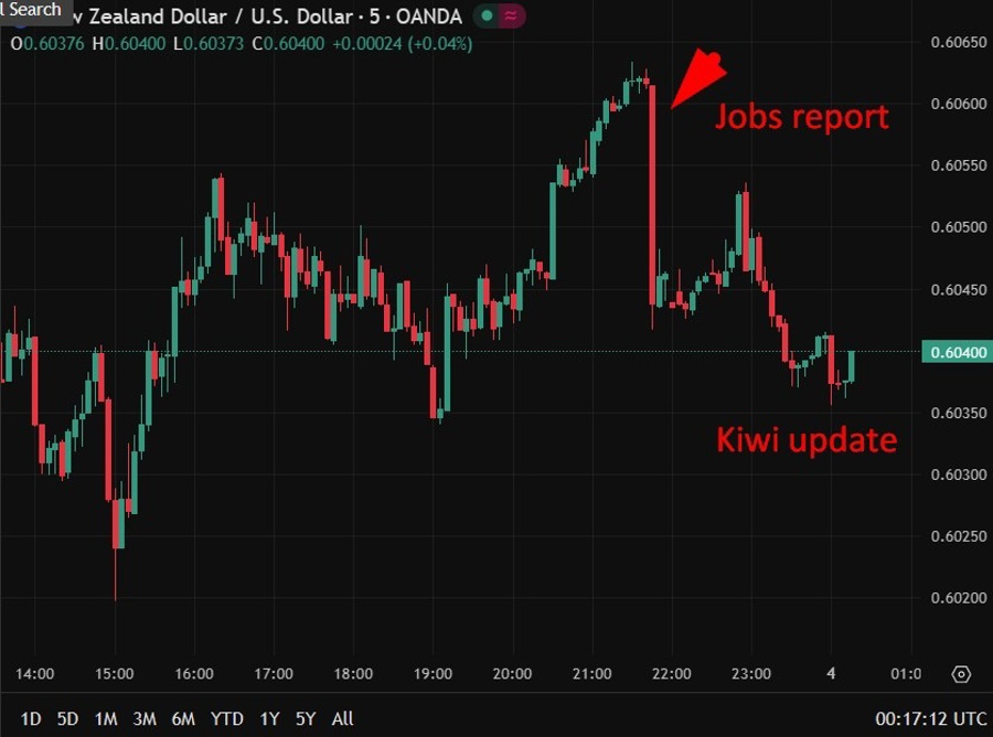 nzd update 04 February 2026 2