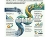 peace hedge fund pivot infographic 16 June 2026