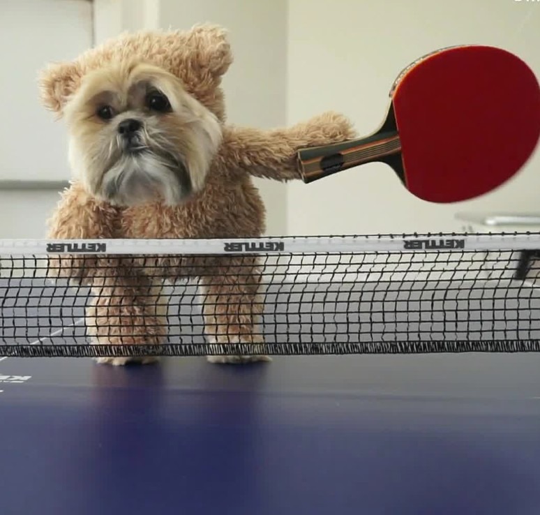 ping pong 26 March 2025 2