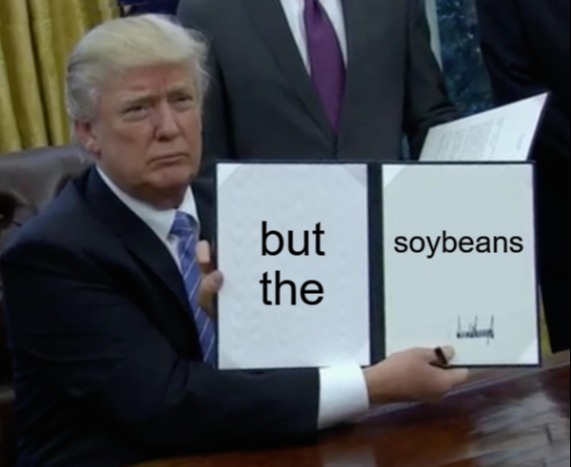 soybeans