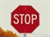 stop loss order