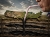 straw stucking up US oil inventories