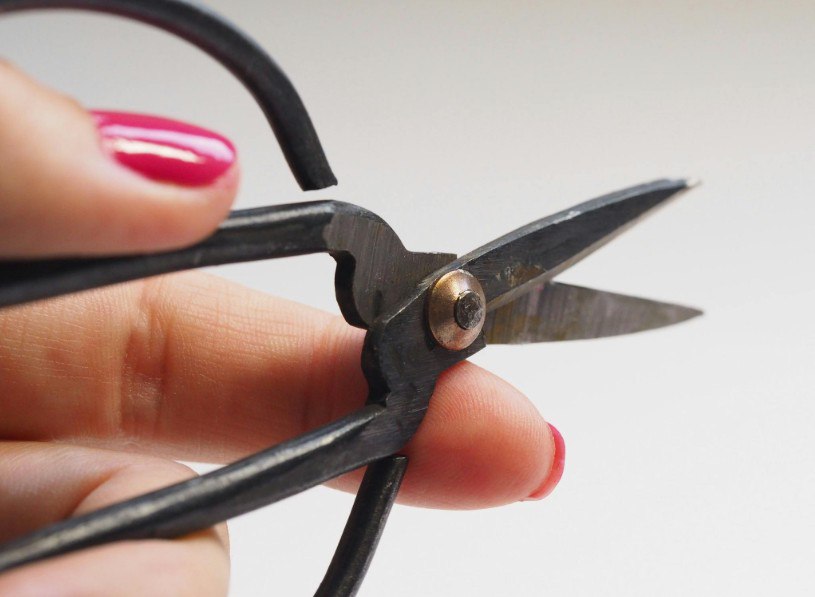 cut scissors