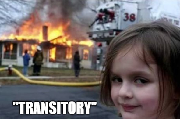 A bit of a choruse on 'transitory from European Central Bank officials Lane, Stournaras, and Knott.