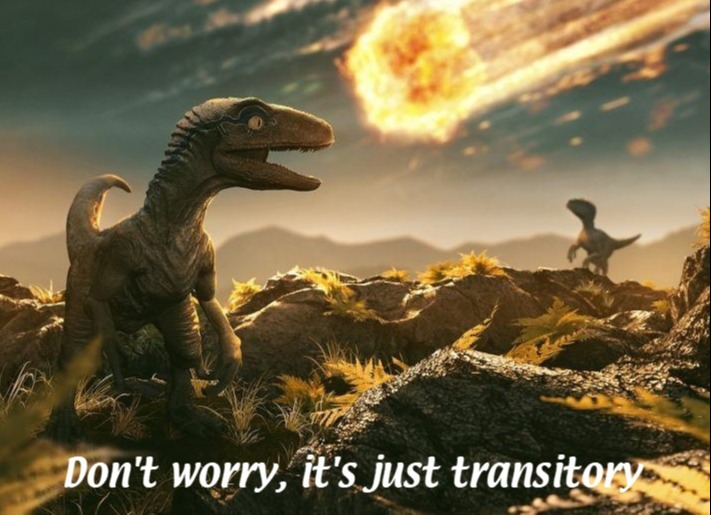 transitory