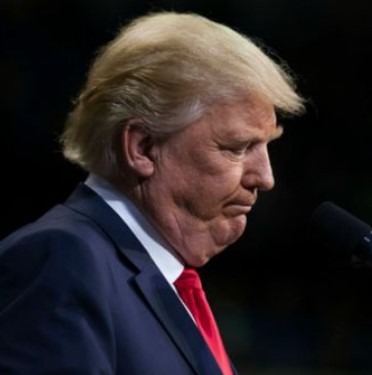 trump 2024 16 November 2022