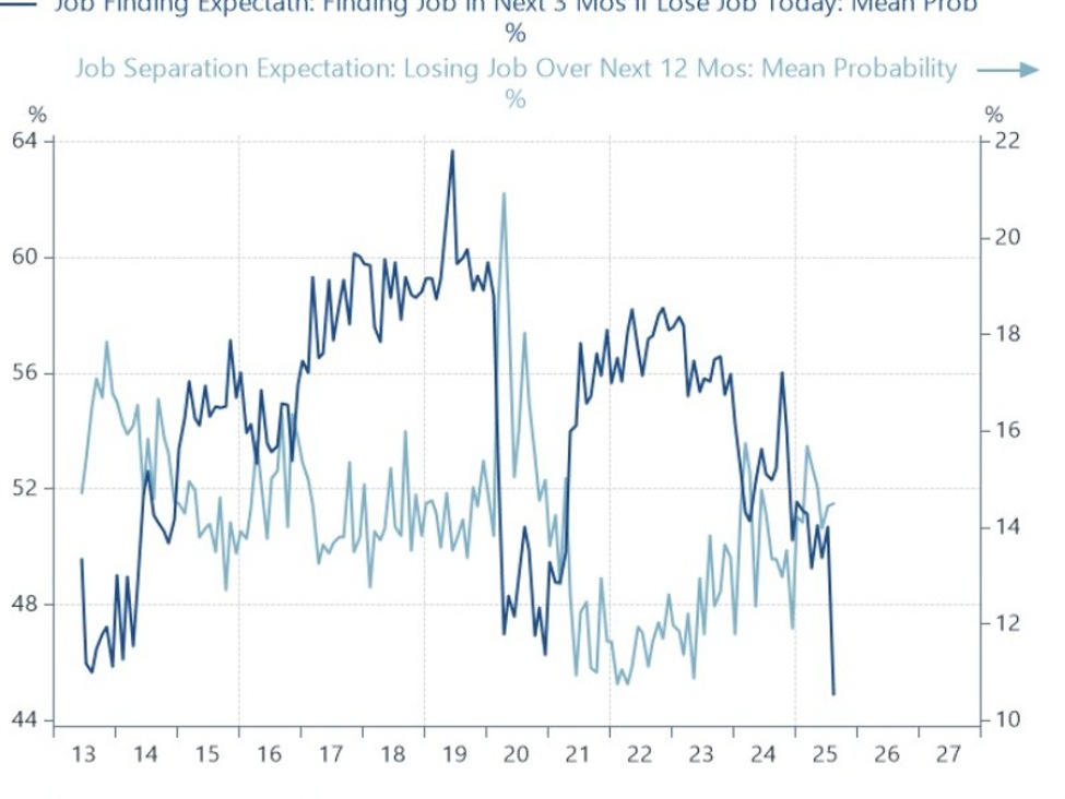 US labor market disaster - The chance of finding a job in US has collapsed to a record low