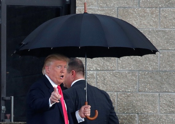 umbrella trump