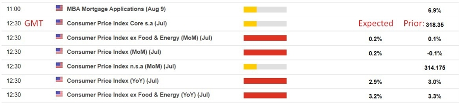 us cpi July 2024 preview 2