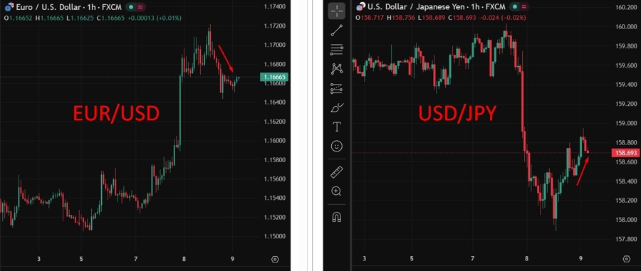 wrap fx 09 April 2026