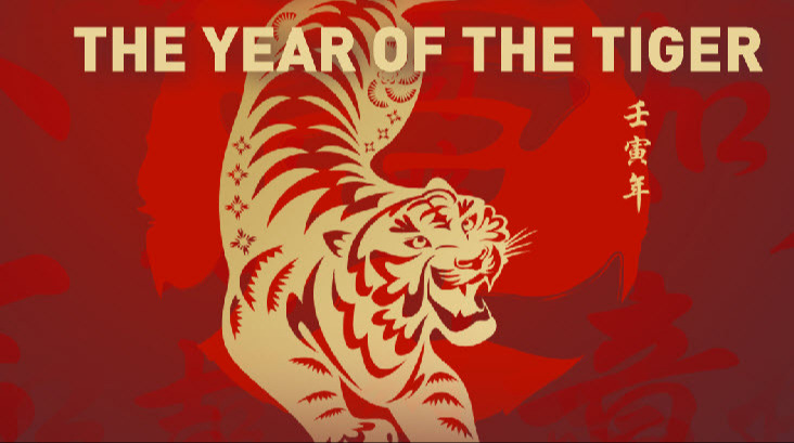 year of the tiger